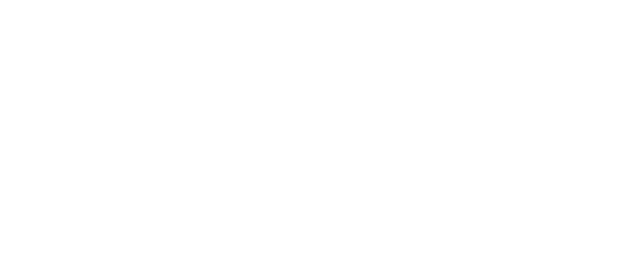 nanoconda